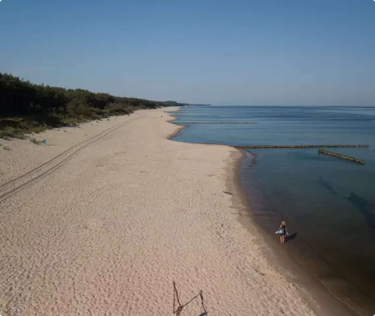 Widok na piaszczystą plażę w Mielnie z leżakami i parasolami plażowymi